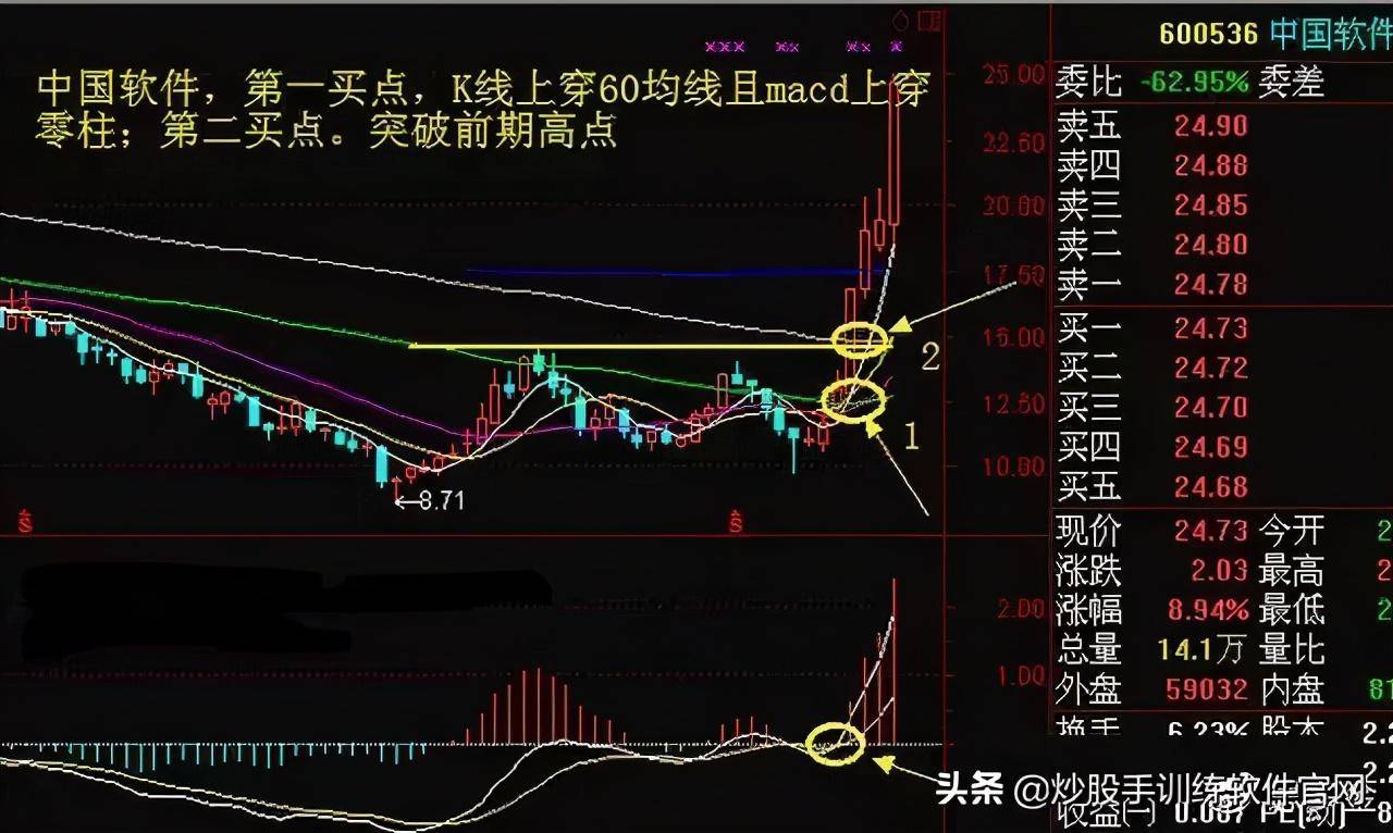 揭秘股票涨停真相，市场涨跌因素深度解析