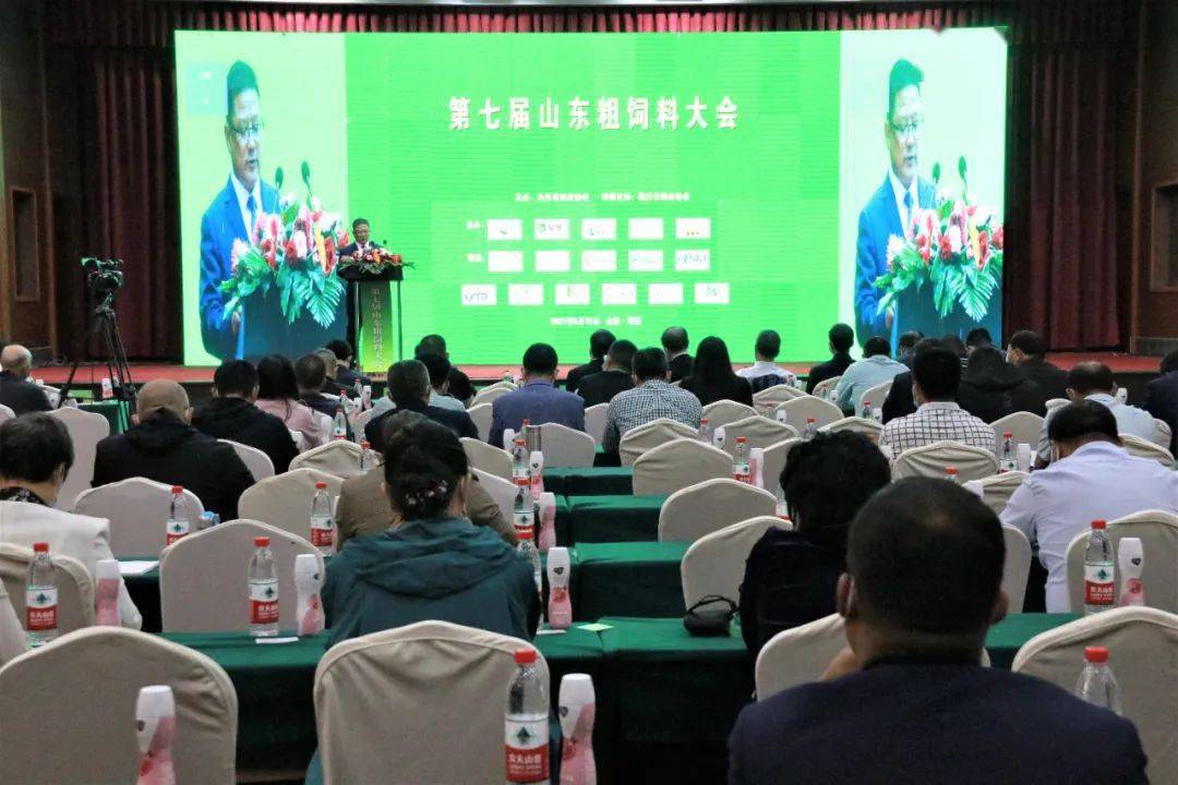 张皇失措 第2页