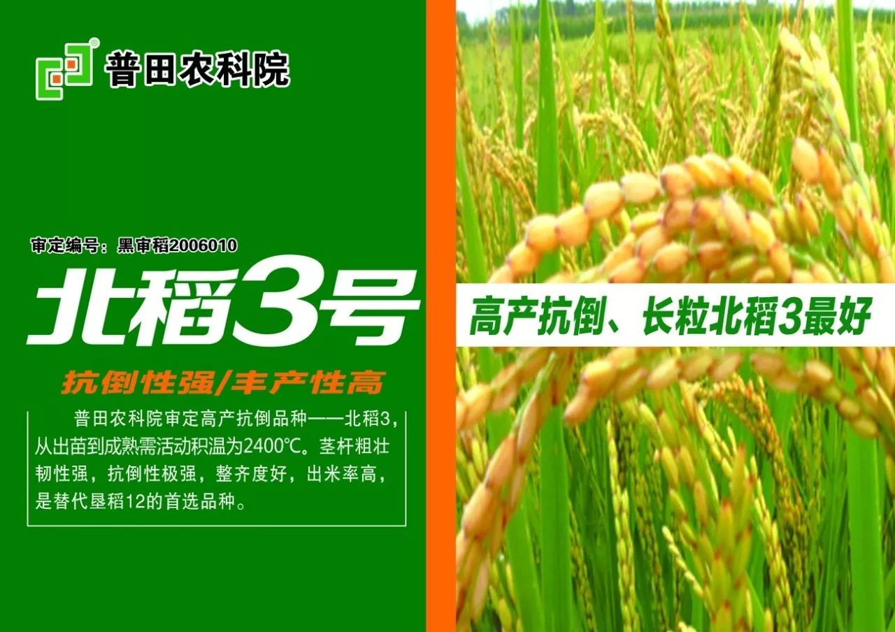 稻姐价格揭秘，优质农产品的价值之旅