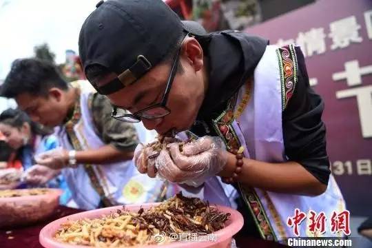 云南吃虫大赛，一场别开生面的盛宴，视频独家纪实！