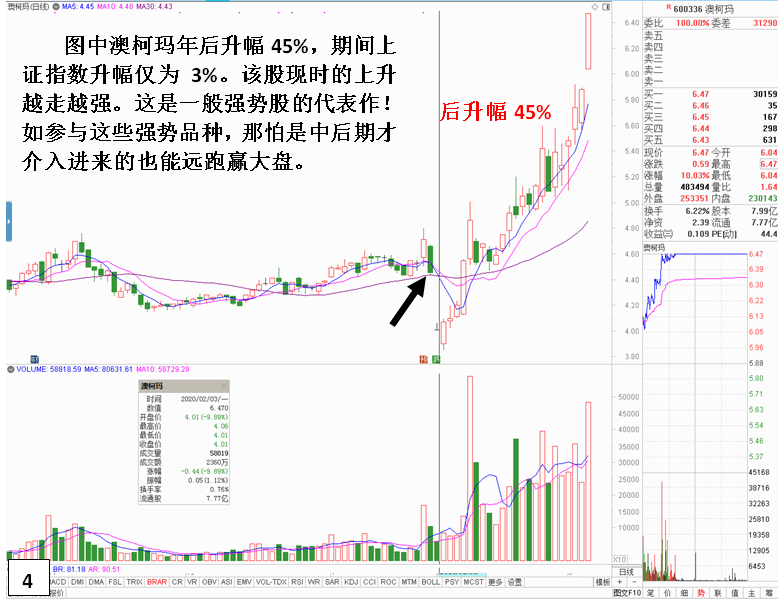 揭秘股市强者恒强现象，深度解读背后的奥秘！