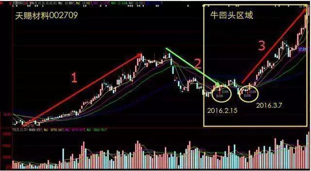 纲挈目张 第2页
