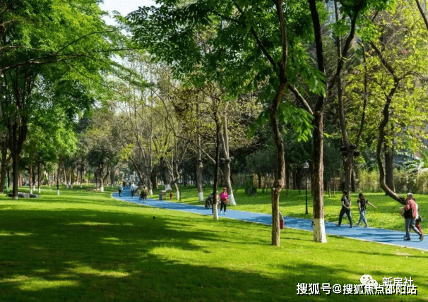 上海郊区公园TOP10，绿意盎然休闲胜地，必去打卡！