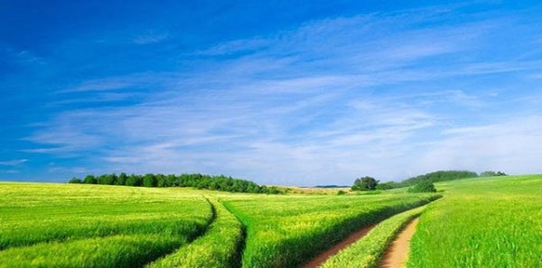 太阳花路线全攻略，带你畅游美景，尽享旅行乐趣！