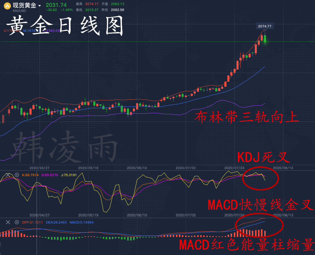 蔷薇木价格走势揭秘，市场趋势与影响因素深度解析