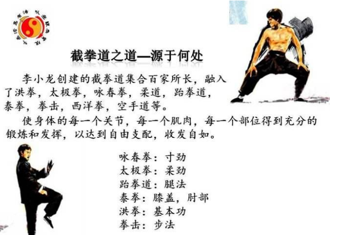 截拳道在世界武坛的排名及深远影响力探讨