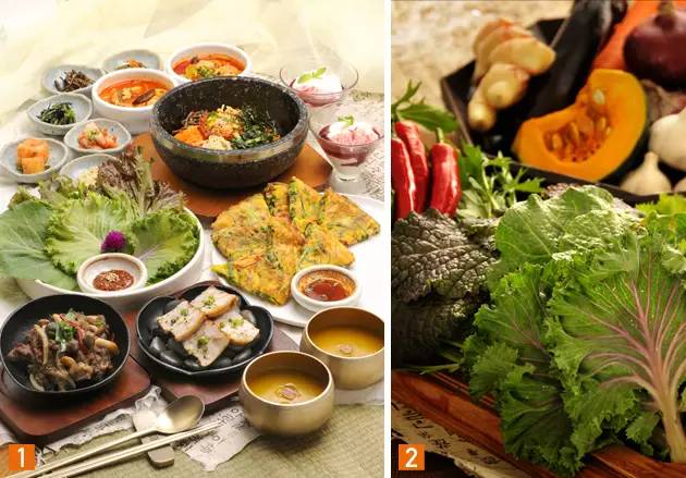 露营美食盛宴，旅游推荐与极致体验指南