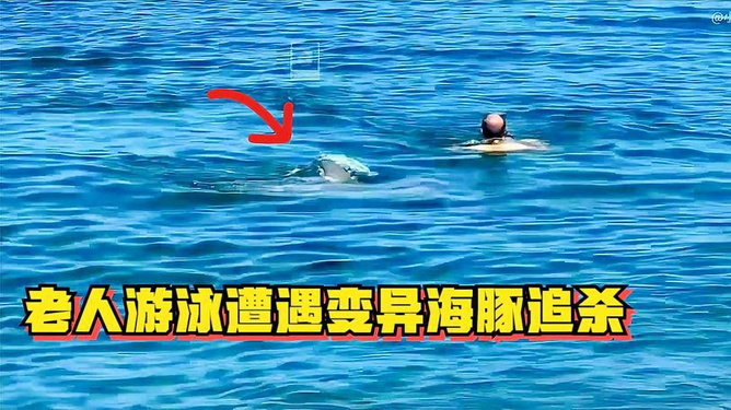 挑战自我极限，拥抱生命之海，励志游泳宣传语录
