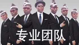 小鸟依人