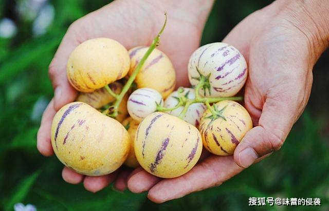 新闻动态 第20页