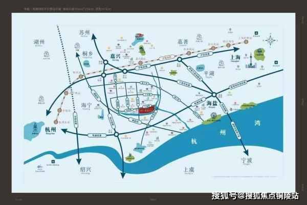 团鱼最新价格行情深度解析