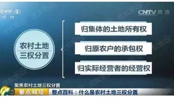 落实 三权分置 计划， 