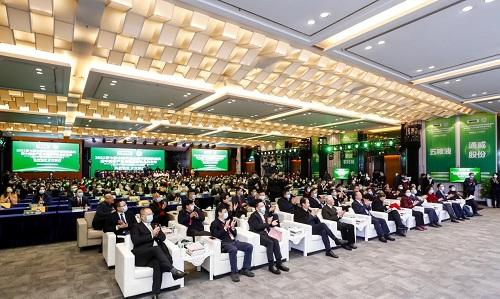 2021乡村振兴专题，2021乡村振兴元年 