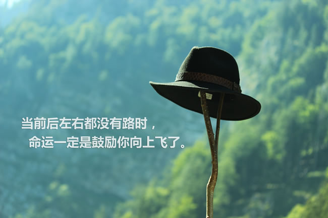 励志名言，唐静影勇往直前，追寻梦想之光闪耀人生