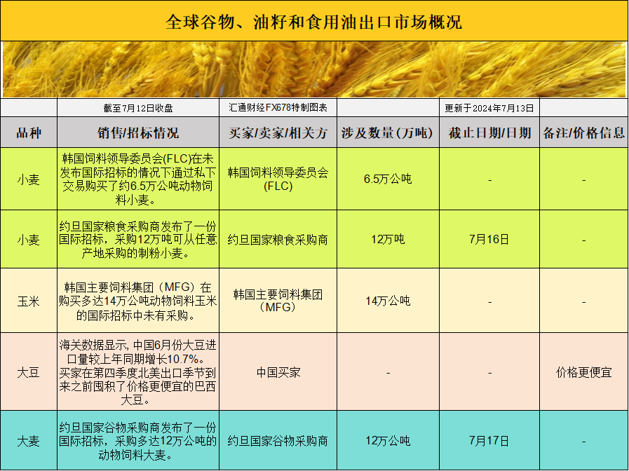 盖莱价格走势揭秘，市场动态及影响因素深度解析