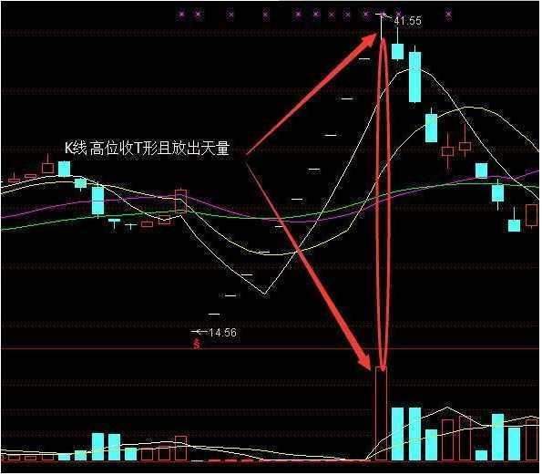 白玉香价格走势揭秘，深度解析市场趋势与影响因素
