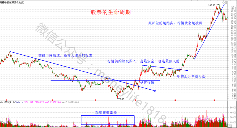 力象股票，揭秘背后的强大力量与投资价值